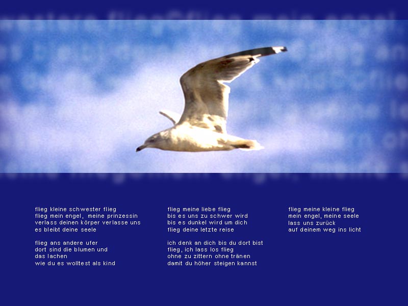 flieg, kleine schwester flieg - flieg mein engel, meine prinzessin. verlass deinen k�rper, verlasse uns. es bleibt deine seele. flieg ans  andere ufer. dort sind die blumen und das lachen - wie du es wolltest als kind. flieg meine liebe flieg. bis es uns zu schwer wird, bis es dunkel wird um dich. flieg deine letzte reise. ich denk an dich bis du dort bist. flieg, ich lass los flieg. ohne zu zittern ohne tr�nen - damit du h�her steigen kannst. flieg meine kleine flieg. mein engel, meine seele. lass uns zur�ck auf deinem weg ins licht